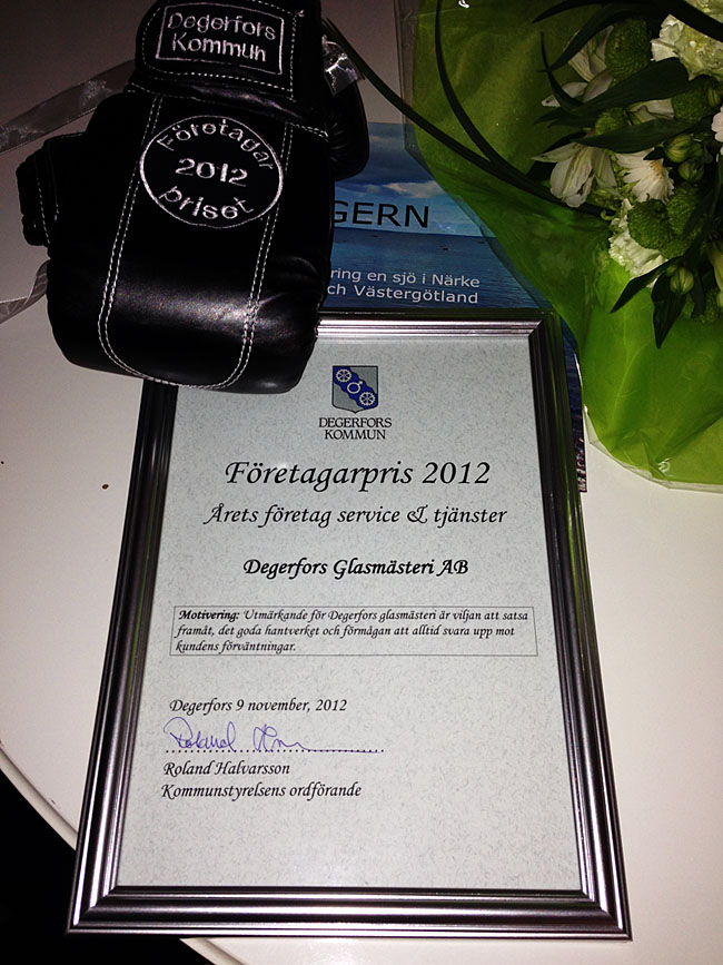 Årets företag 2012 Degerfors